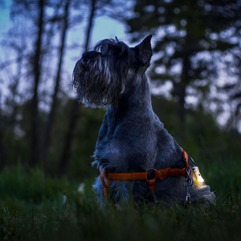 Armytek Zippy Light LED 160lm