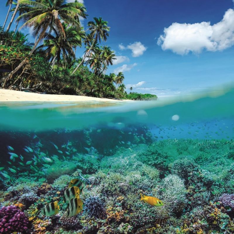 Clementoni Summer Paradise Puslespill 1000 brikker