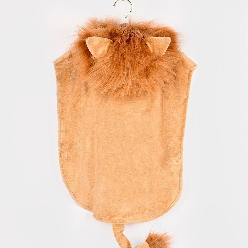 Løvedrakt 2 - 4 år