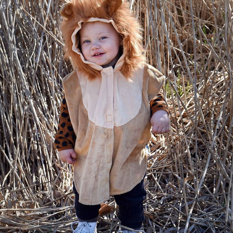 Løvedrakt 2 - 4 år