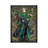 Puslespill Harry Potter | Draco Malfang | 250 brikker
